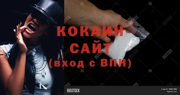 PSILOCYBIN Абаза