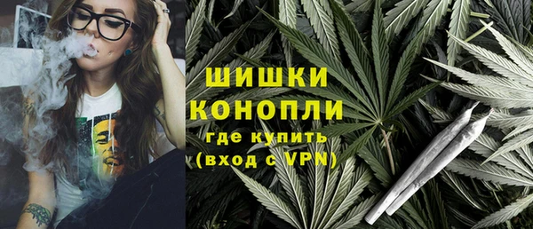 PSILOCYBIN Абаза