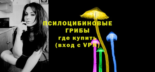 крисы Абдулино