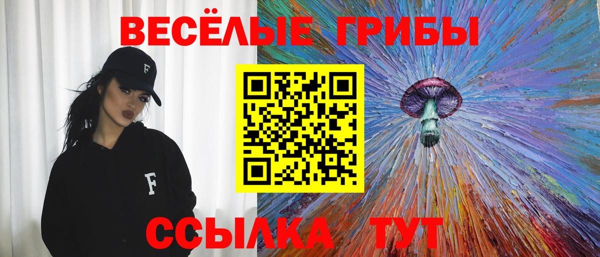 Псилоцибиновые грибы прущие грибы Железноводск