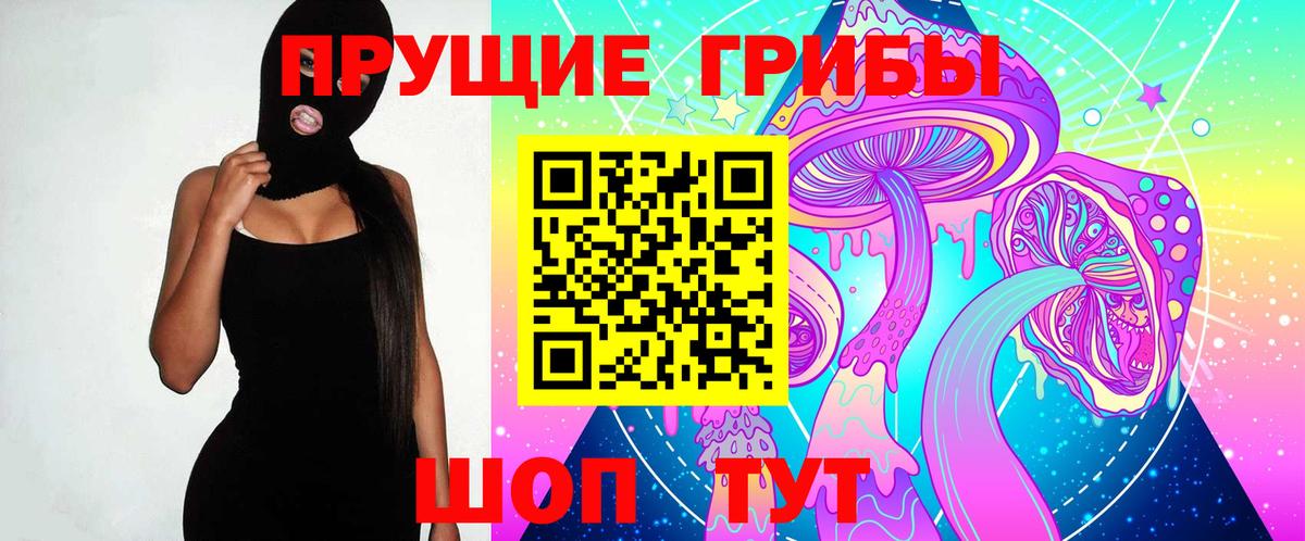 Галлюциногенные грибы GOLDEN TEACHER  Псилоцибиновые грибы GOLDEN TEACHER  Железноводск  купить закладку  Вход с VPN 